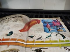 Wild Age Discover The Prehistoric World Paperback 9×12 Inches Book