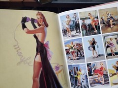 THE GREAT AMERICAN PIN-UP Martignette & Meisel HUGE 280 pages 2011 1st 246810975