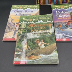 Magic Tree House Box Set – Only 25 Book Collection – Missing #2, #12, & #13
