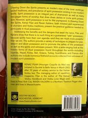 Drawing down the Spirits : The Traditions and Techniques of Spirit Possession by