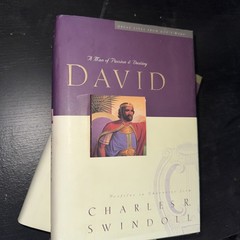 David : A Man of Passion and Destiny by Charles R. Swindoll (1997, Hardcover)