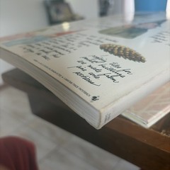 The #1 Bestseller Gnomes Forest Gnome Paperback Book