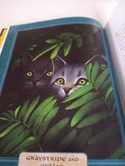 Warriors The Ultimate Guide By Erin Hunter Hardback 221 Pages Full Color Art