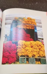 Mexico’s Day of the Dead : A Celebration of Life Hardcover New 2025. Photography