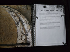 Museum Guide: a Bible-based Handbook to Natural History Museums