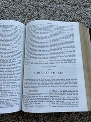 The Holy Bible Douay Rheims Version Catholic 1989 Orthodox Hardcover Black F26