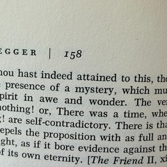 Martin Heidegger George Steiner 1979 Hardcover DJ Viking Press Modern Masters