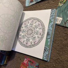 Variety Adult Coloring Books Pencil ETC