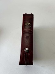 Word of Life NIV English-Korean Study Bible Leather Zippered