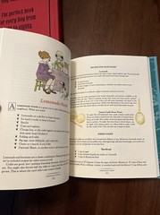 Book Lot- “The Daring Book For Girls” & The Dangerous Book for Boys” HC, illustr