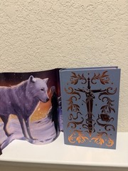 Waterstones Signed Exclusive Dire Bound by Sable Sorensen OOP Sprayed Edge Copy