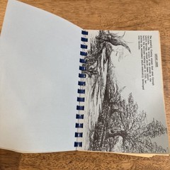 Carlisle Heritage ‘76 Cookbook A Bicentennial Collection 228 Pages Carlisle, PA