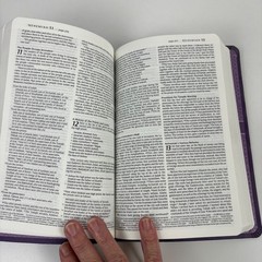 Premium Holy Bible Gift & Award Edition Petal NLT Red Letter Leatherlike