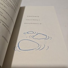 Mindfulness Essentials Ser.: How to Walk by Thich Nhat Hanh (2015, Trade…