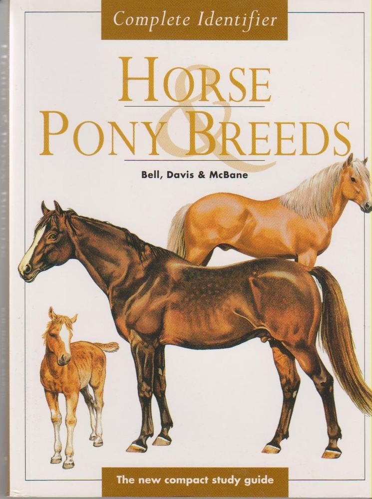 Horse Pony Breeds
