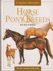 Horse Pony Breeds