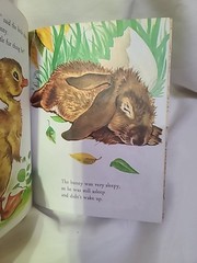 (D) Vintage 1973 A Little Golden Book The Golden Egg Book By Margaret Wise Brown