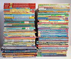 Easy Beginners Chapter 100+ Book Lot Young Readers Boys & Girls Series Mixed
