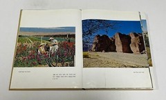 Israel 10th ANNIVERSARY,Judaica Book,w Photos,Hebrew, David Ben Gurion, 1958