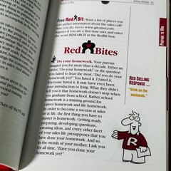 Little Red Book of Selling 12.5 Principles of Sales Greatness – Jeffrey Gitomer