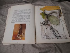 The Curse of Lono 1983 Hunter S Thompson Ralph Steadman