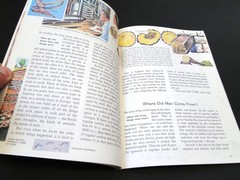 Vintage 1981 The How and Why Wonder Book of Primitive Man by Donald Barr