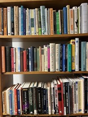 Books by Genre 10~Pound BOOKs Lot Sorted Fiction/Nonfiction