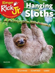 RANGER RICK MAGAZINE | MARCH 2025 | HANGING WITH SLOTHS