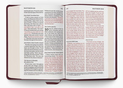 ESV Giant Print Personal Size Bible, Red Letter, TruTone, Mahogany