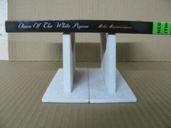 Omen of the White Pigeon by Mike Mastroianni (Perfect)