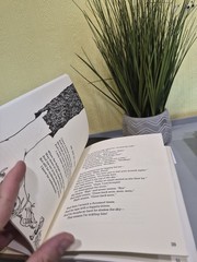 Where the Sidewalk Ends by Shel Silverstein – 1974 Hardcover – Light In Attic