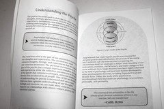 The Shadow Work Journal : a Guide to Integrate & Transcend Your Shadows (2023)