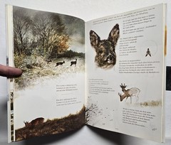 Rien Poortvliet: … und jeder Fuchs hat seinen Bau, Kosmos 2001, HC