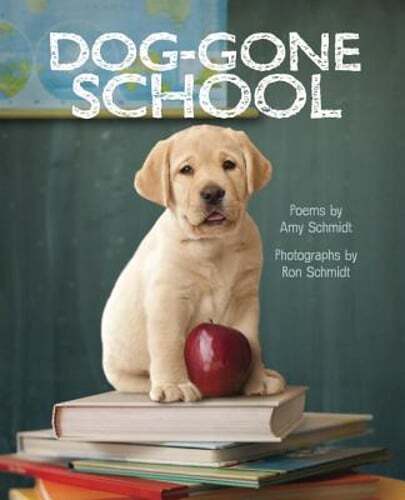 Dog-Gone School by Amy Schmidt: Used