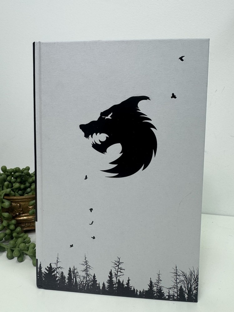The Witcher The Last Wish by Andrzej Sapkowski 2020 Illumicrate HB