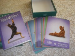 YOGA DOGS Book & Card Set Written by Alison DeNicola 96 pages 44 Cards 2017