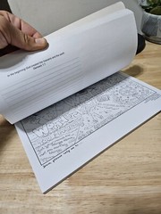 Journal Of An Insane Woman By Cindy Jackson-8 Pages Colered CHRISTIAN