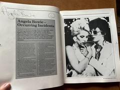 DAVID BOWIE (Book) The Starzone Interviews. 128 pages. Omnibus Press. 1985. EX