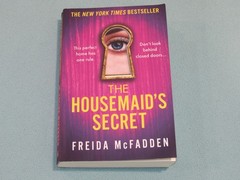 10 Book Lot: FREIDA MCFADDEN (Intruder~Tenant~Boyfriend~Teacher~Inmate~Housemaid