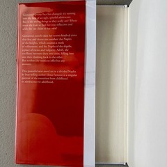 Signed 1st/1st HC The Lying Life of Adults by Elena Ferrante