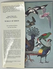 World Of Birds: New & Revised Ed. by James Fisher & Roger Tory Peterson HC w/ DJ
