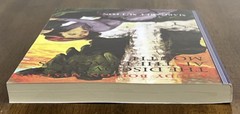Discovery at Dragon’s Mouth #31 by Margaret Sutton (2008, Trade Paperback)