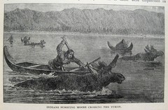 1898 Victorian Exploration Sea Travel Arctic Africa Tropics Safari Wild Animals