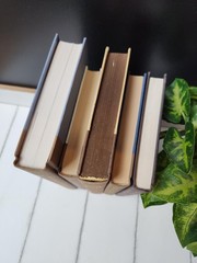 Brown Staging Books: Earthy Decor Objects, Real Hardbacks- Set of 5