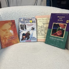Lot Of 35 Middle Grade Novels Homeschool Newberry Books Set Reading