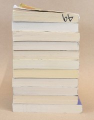 Lot of 11 A Wrinkle In Time by Madeleine L’Engle GUIDED READING Teachers Set