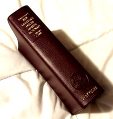 Kenkyusha’s New Collegiate English-Japanese Dict. – 4th Ed. 1977