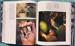 The Wonder of Birds Robert M. Poole 1983 Hardcover 280 Pages Of Amazing Birds