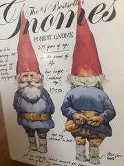 The #1 Bestseller Gnomes Forest Gnome Paperback Book