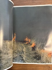 Rinko Kawauchi Illuminance, Ametsuchi, Seeing Shadow